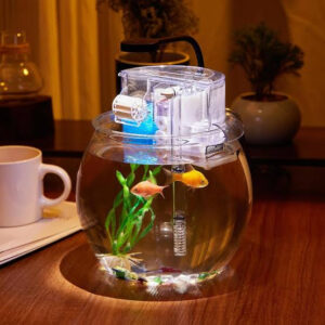 YL 3 Bio top filter for bowl