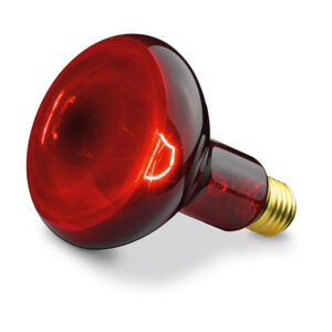 Heating Bulb