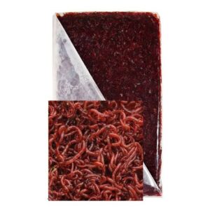 Frozen blood worm 100g