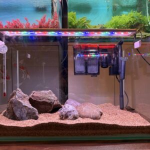 16 Inch Curved Glass Aquarium – Complete Package