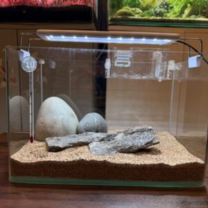 12 Inch Curved Glass Aquarium – Complete Package