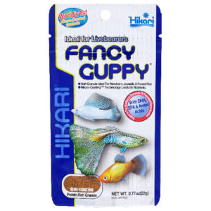Hikari fancy guppy 22g