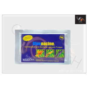 Blue nacine for ornamentle fish